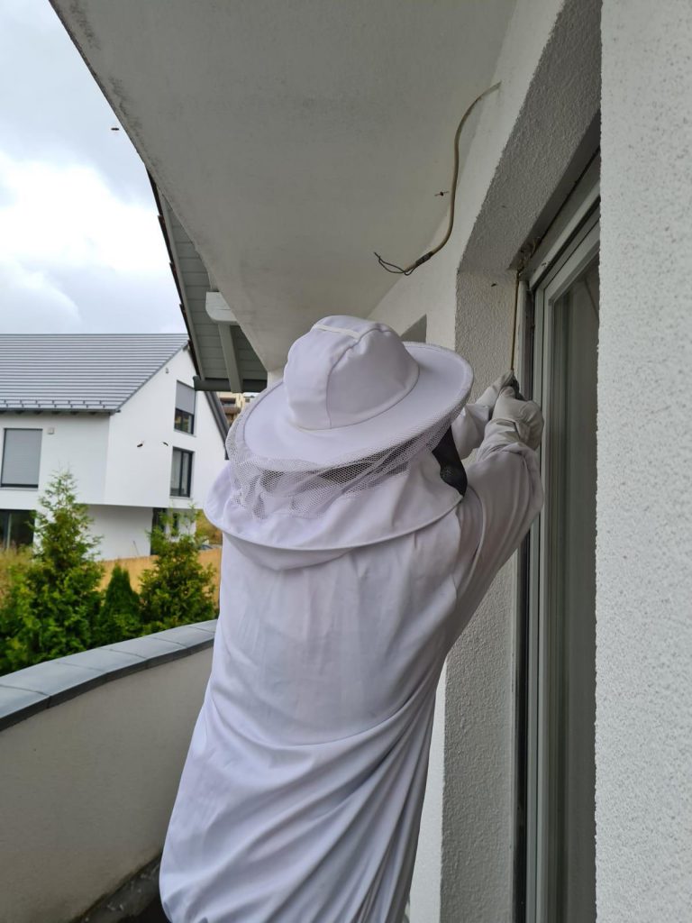 ISOTOX: Schutz vor Schädlingen – Wespenbekämpfung