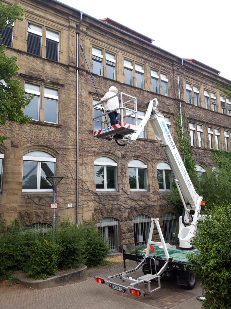 ISOTOX: Schutz vor Schädlingen – Wespenbekämpfung