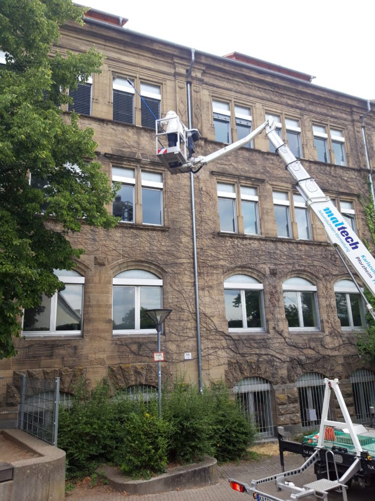 ISOTOX: Schutz vor Schädlingen – Wespenbekämpfung