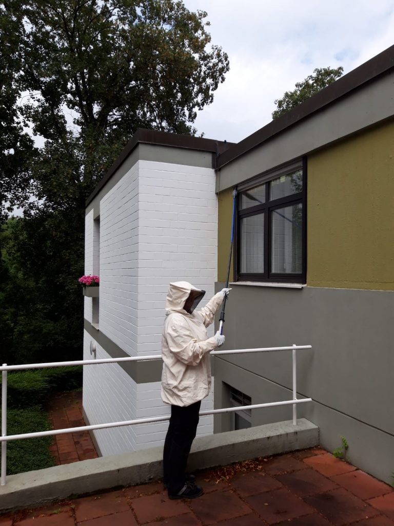 ISOTOX: Schutz vor Schädlingen – Wespenbekämpfung