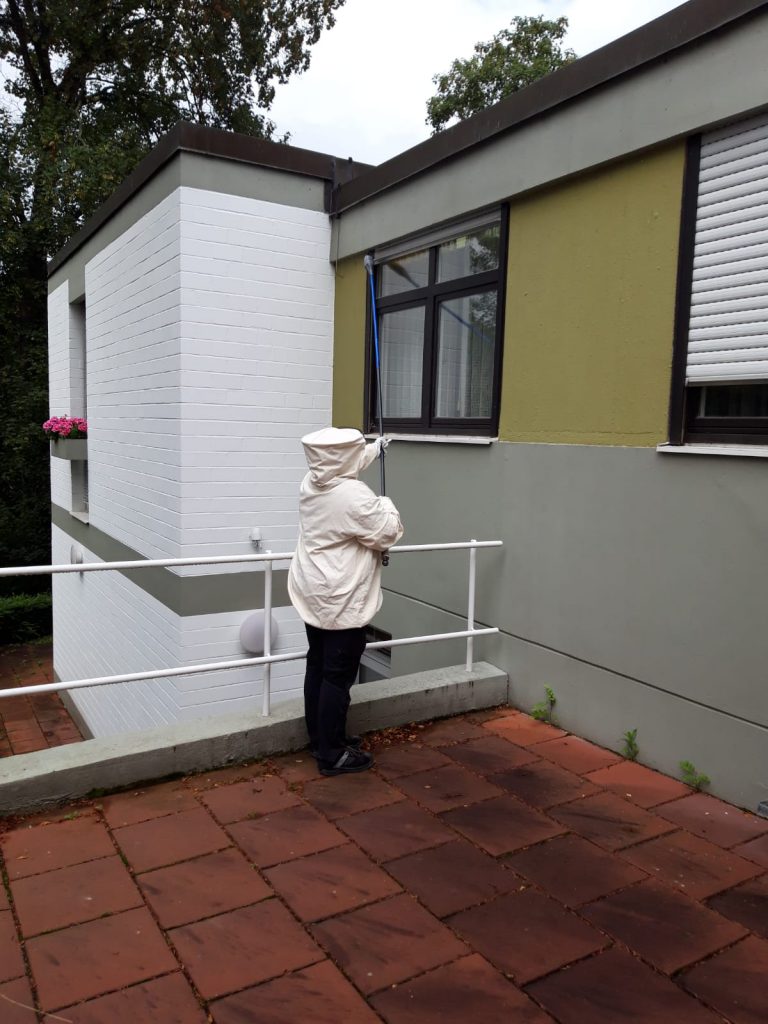 ISOTOX: Schutz vor Schädlingen – Wespenbekämpfung